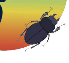 This is a large beetle, one of my images to add to the eye motion graphics.